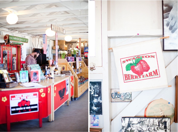 amazing Swanton strawberry farm