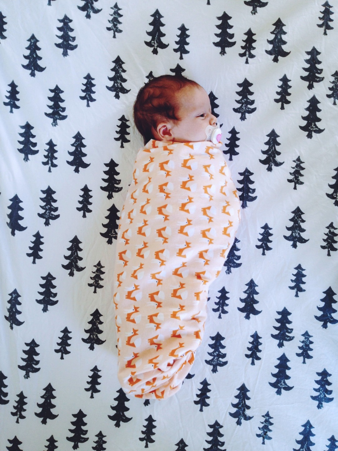 swaddle foxes and trees